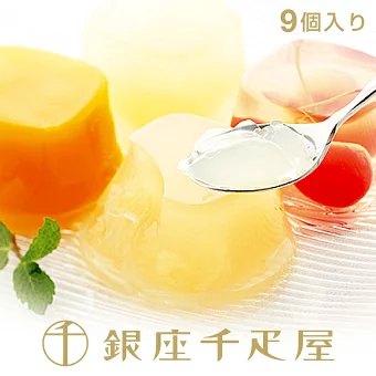 銀座千疋屋　銀座ゼリー（9個入り） ［2024楽天グルメ大賞受賞］［送料無料］［ポイント2倍］  ～ 御中元 お中元 父の日 ゼリー ギフト 詰め合わせ 贈り物 フルーツ スイーツ プレゼント お菓子 内祝い 誕生日 お祝い 御礼 快気内祝 お見舞い 送料無料 千疋屋 ～